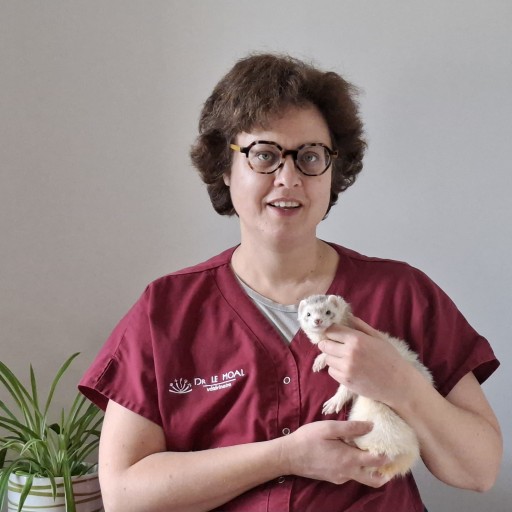 Claire LE MOAL